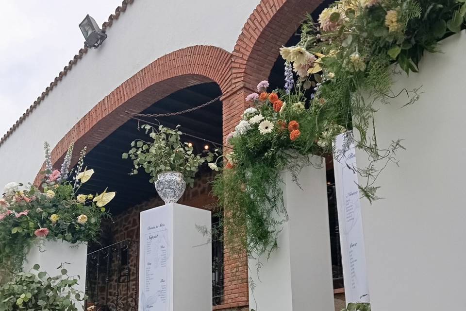 Enlace de Ángela & Jonathan