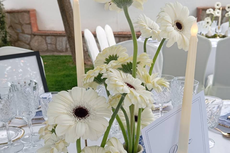 Enlace de Ángela & Jonathan