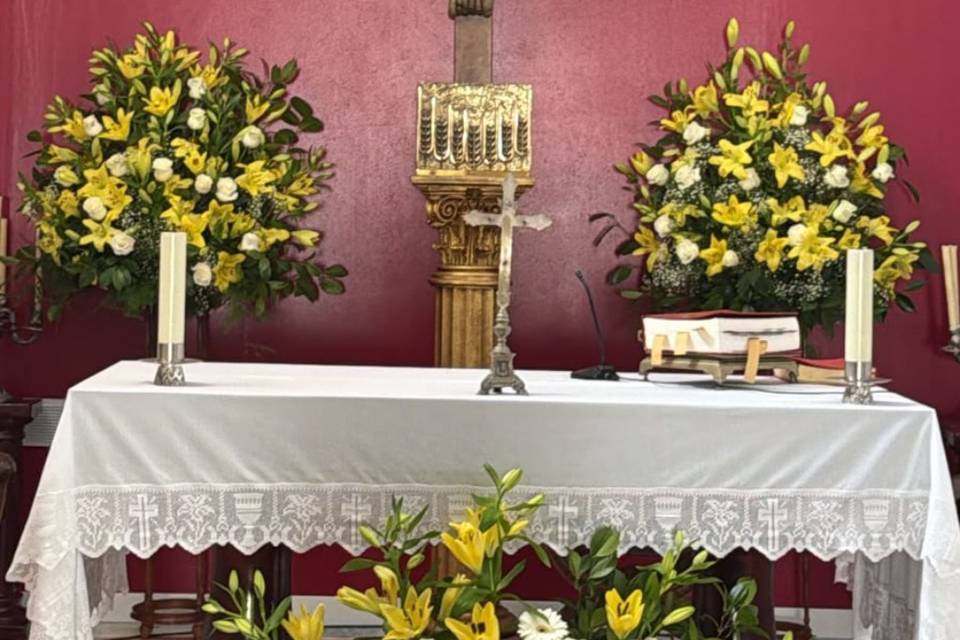 Enlace María & José Enrique