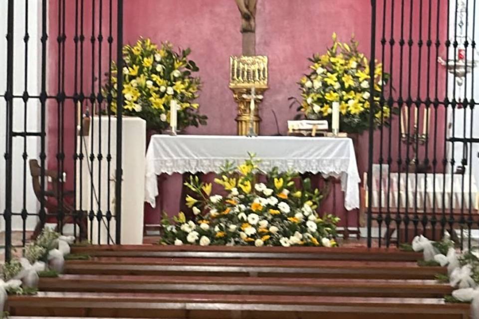 Enlace María & José Enrique