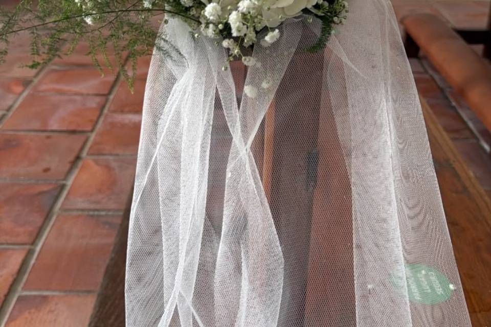 Enlace María & José Enrique