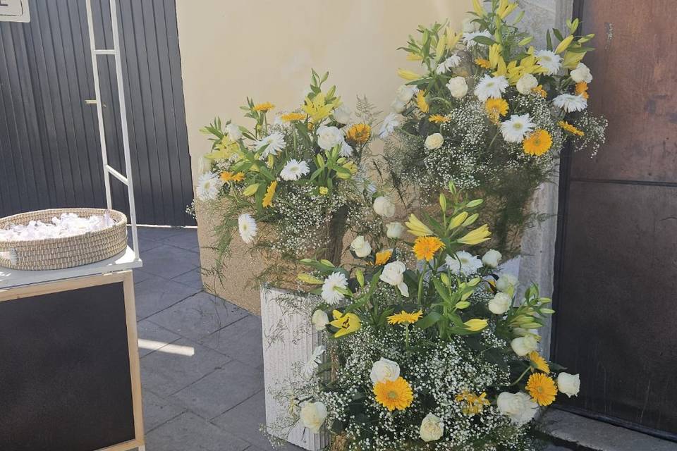Enlace María & José Enrique
