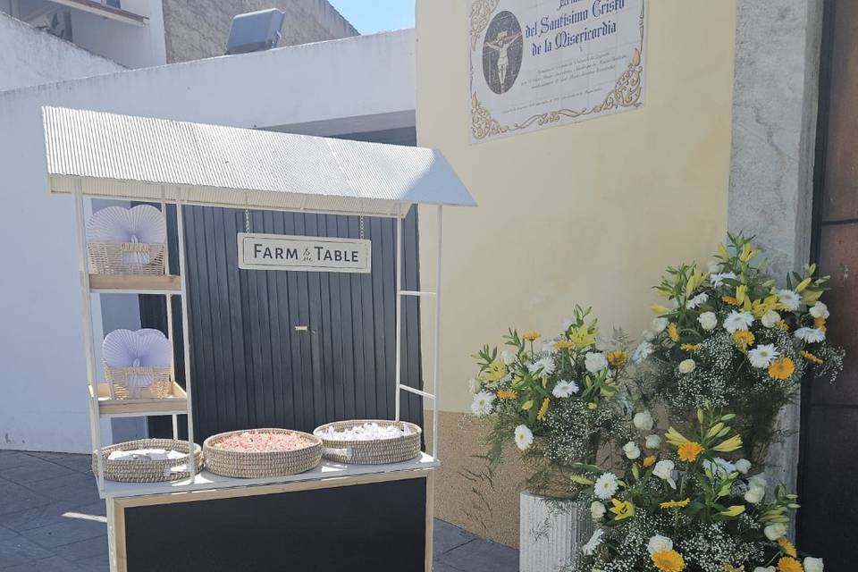 Enlace María & José Enrique