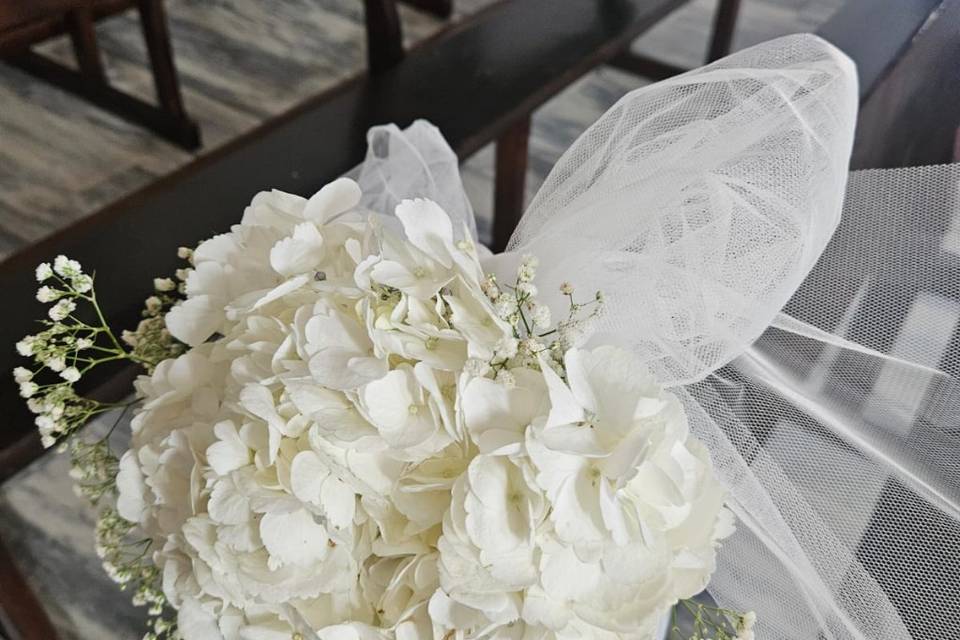 Enlace de Mayca & Eduardo