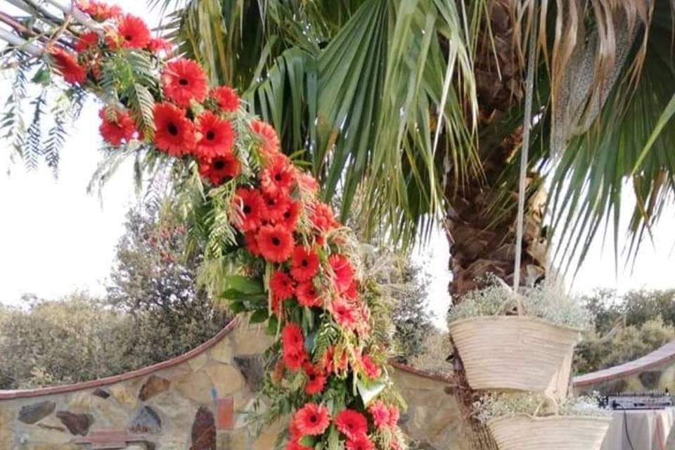 Gardenia - Florista y Decoración