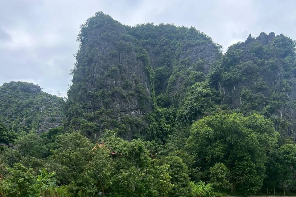 Vietnam