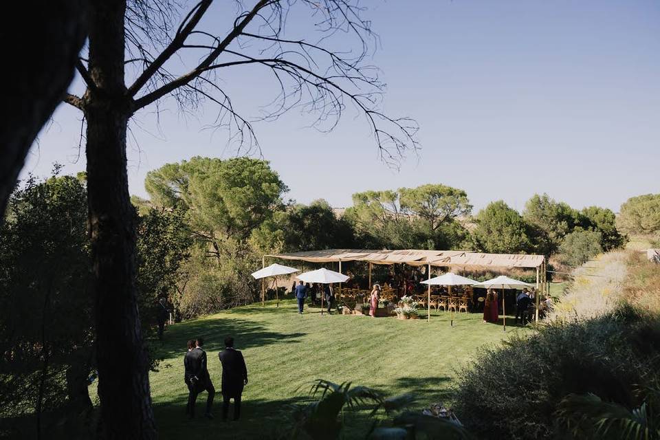 Pradera
