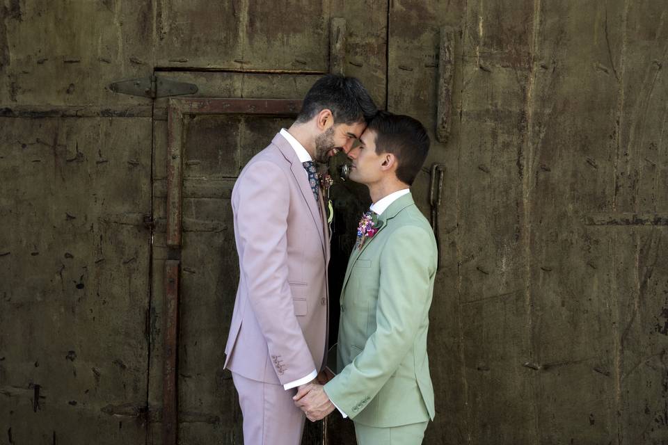 Novios