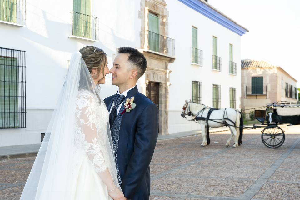 Novios