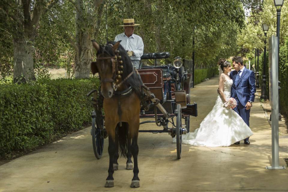 Motos en la boda