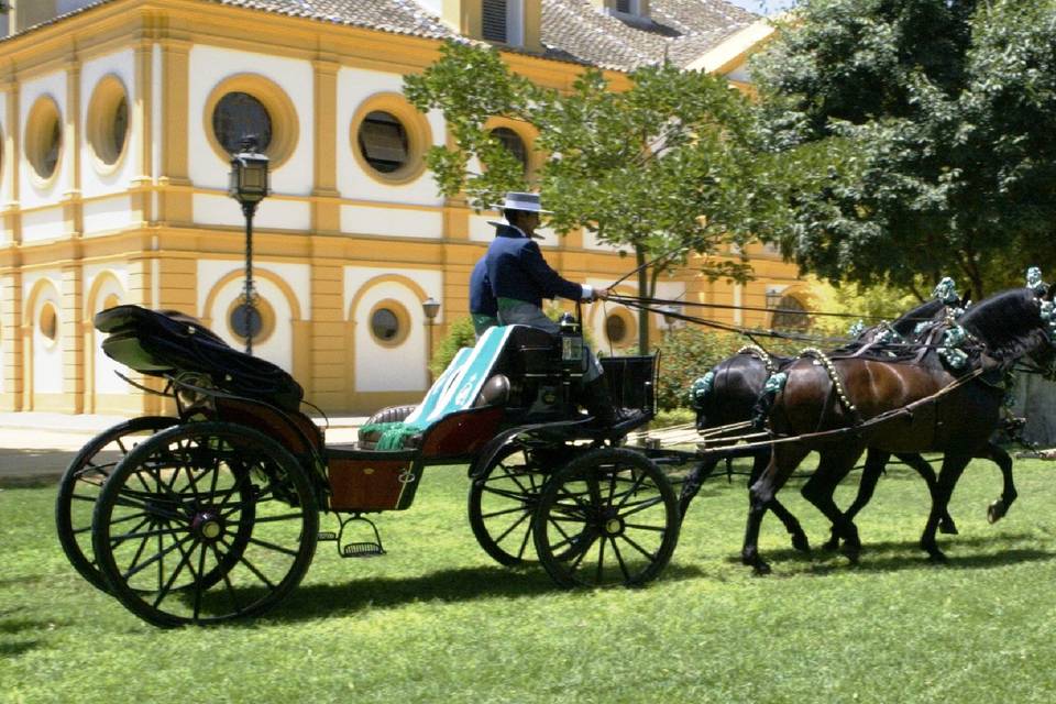 Fundación Real Escuela Andaluza del Arte Ecuestre