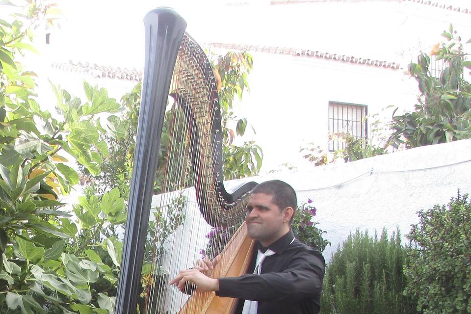Tibor Tejeda del Rio
