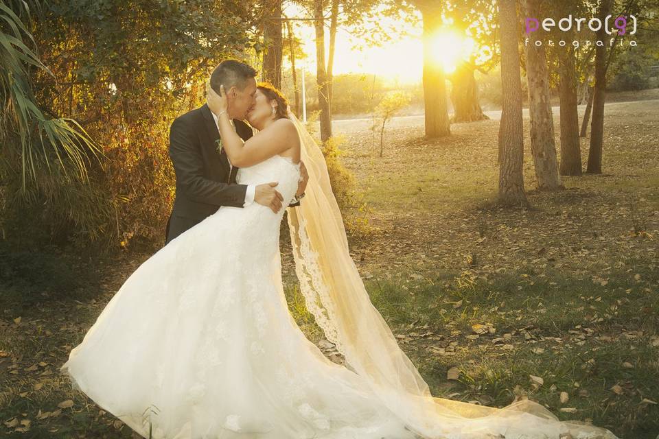 San Vicente de Lliria, postboda