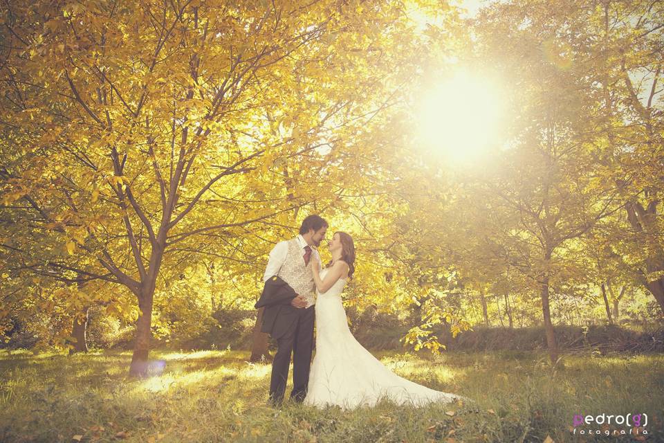 Postboda en otoño