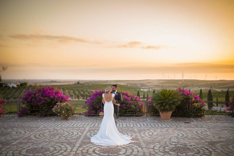 Postboda en Bolonia