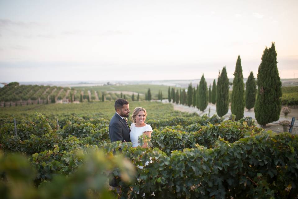 Boda en Luis Perez