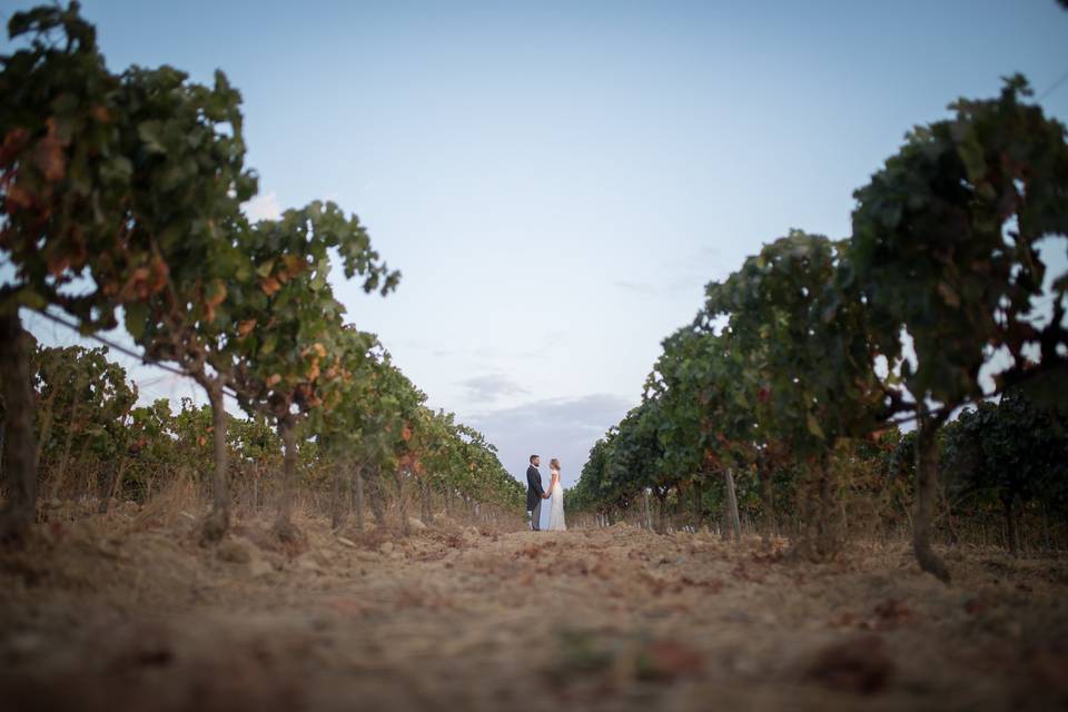 Boda en Luis Perez