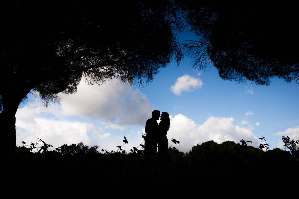 Postboda en Vejer