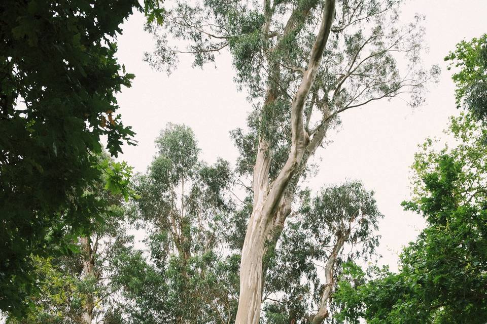 Jardín - afilmlove