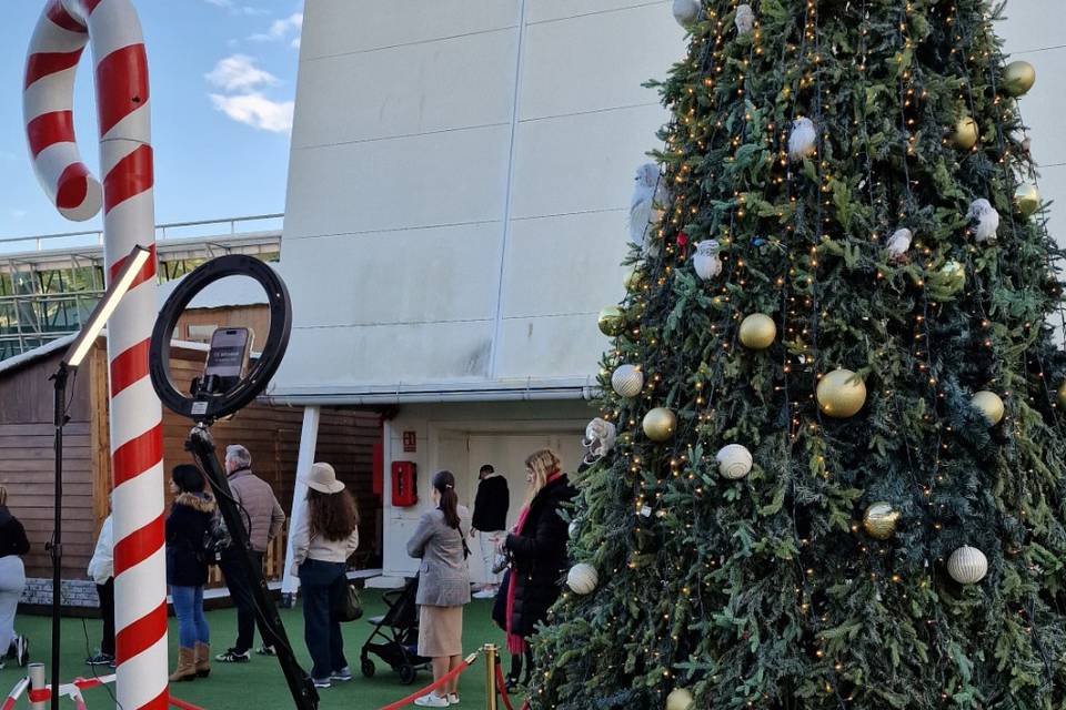 Navidad P360 Miramar