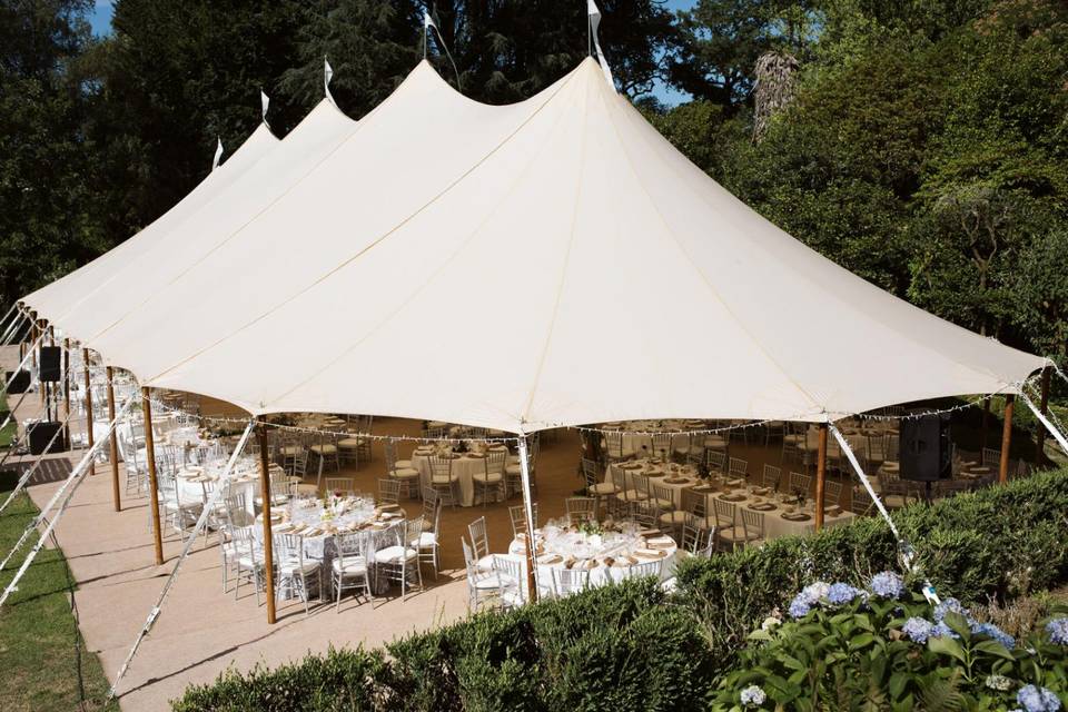 Carpa en el jardín