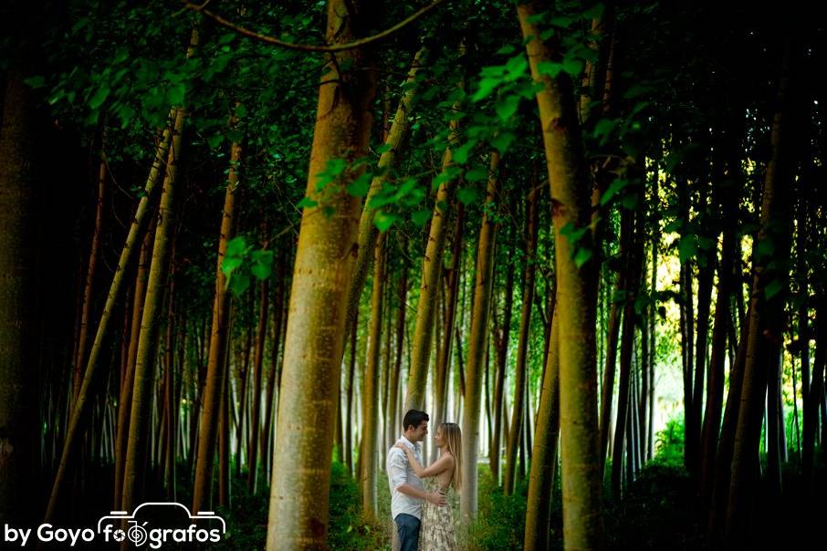 Fotografías de preboda