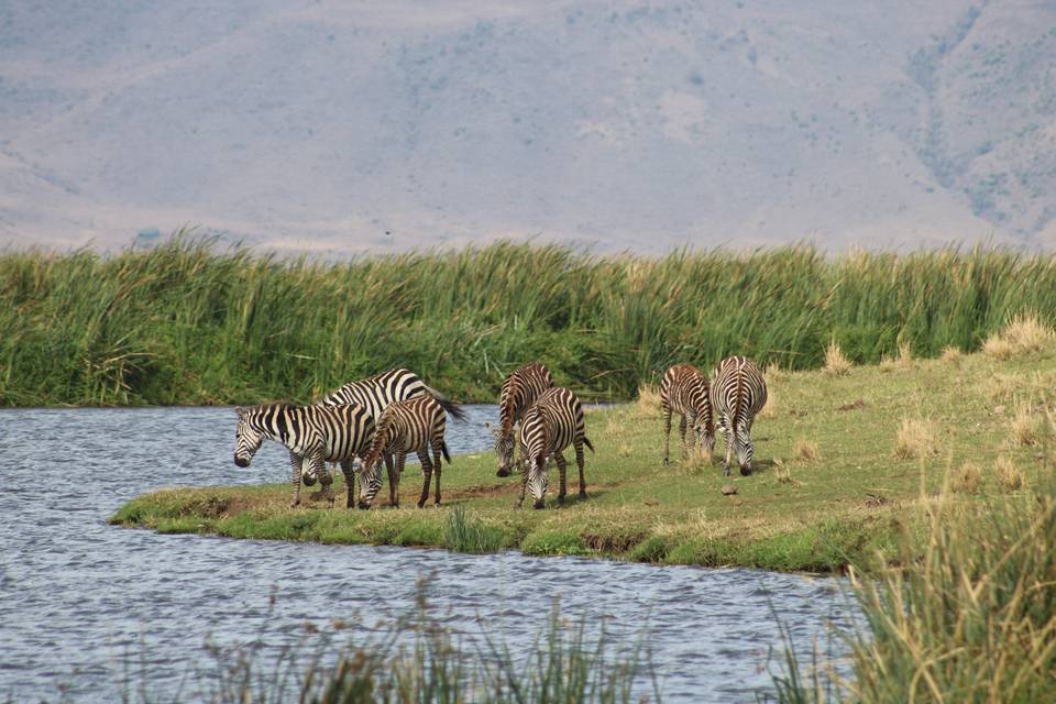 Tanzania