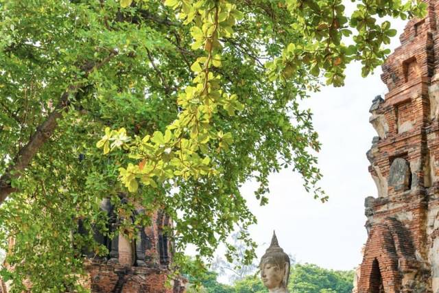 Tailandia tradición
