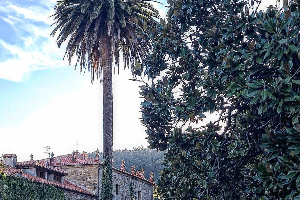 Casa cubirta de parra