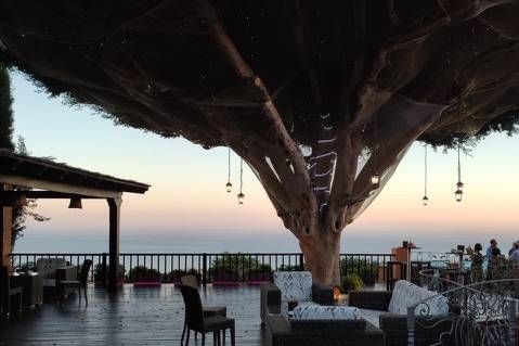 Terraza Atardecer