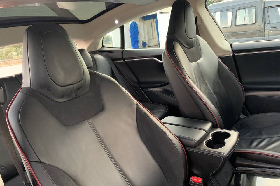 Tesla Driver