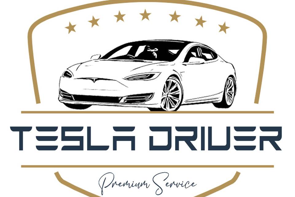 Tesla Driver