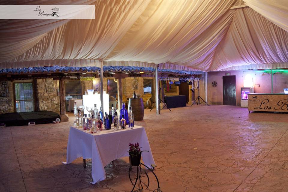 Interior carpa