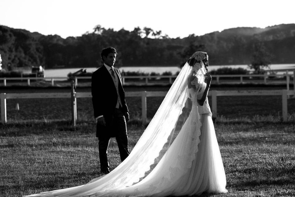 BODA VIVI & CEX