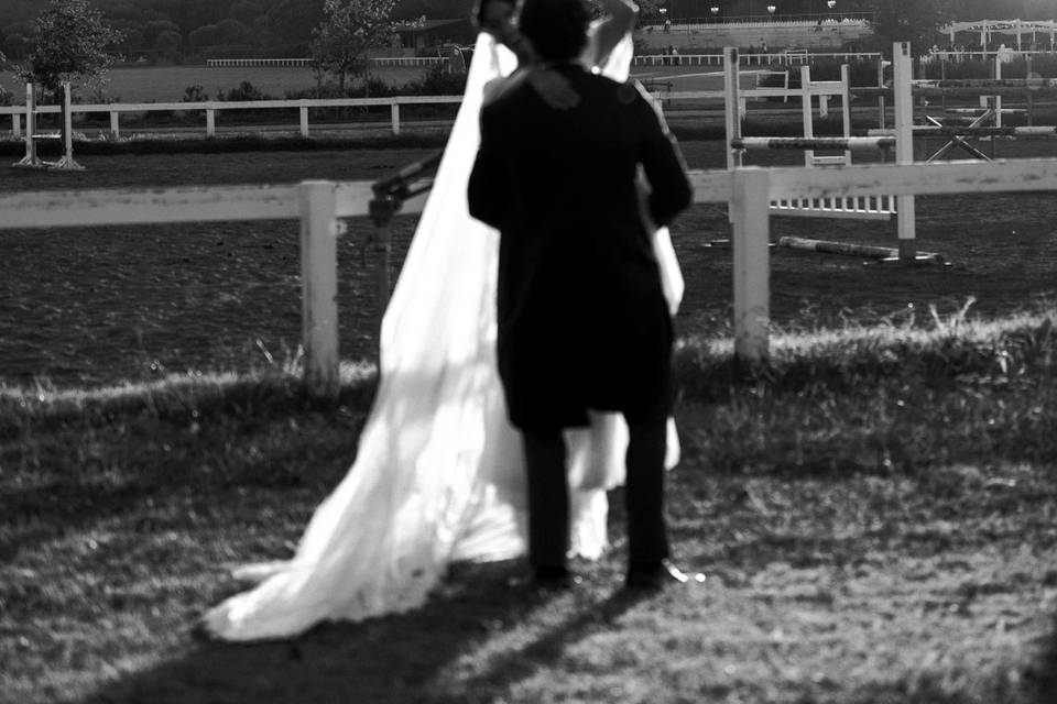 BODA VIVI & CEX