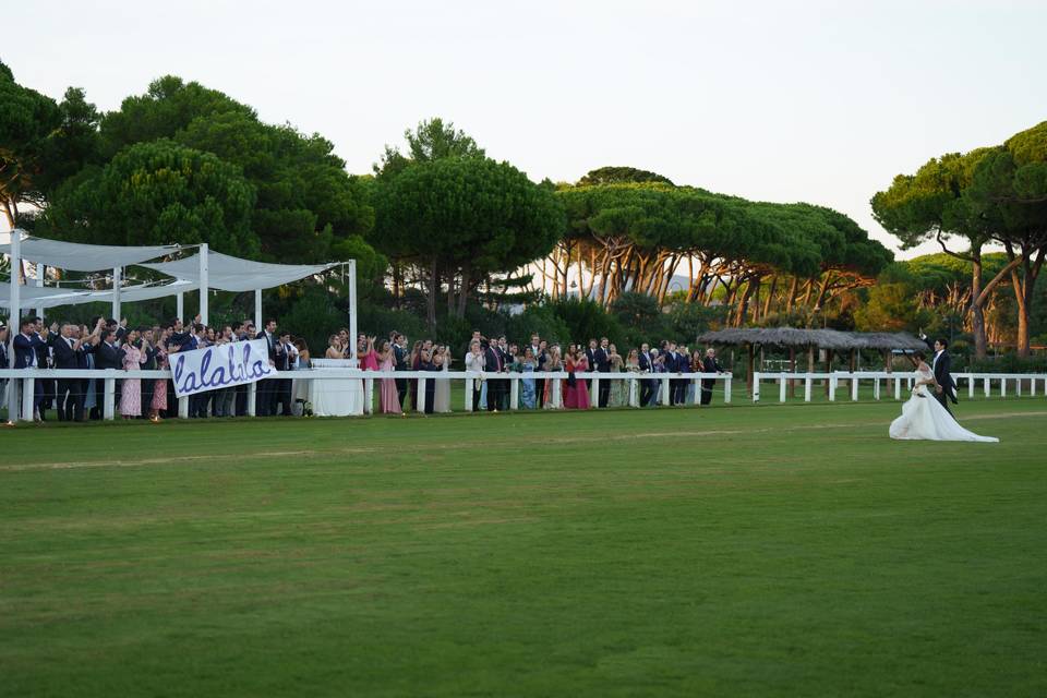 BODA VIVI & CEX