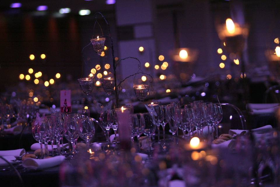 Luces banquete