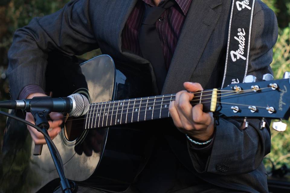 Músicos de la formación