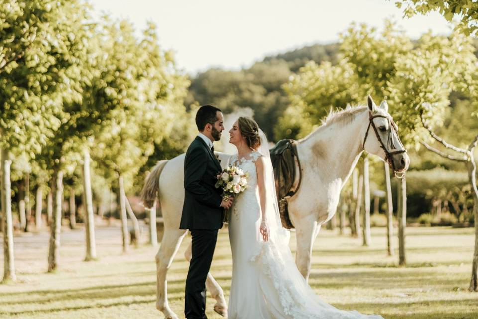 Wedding Lights Photo