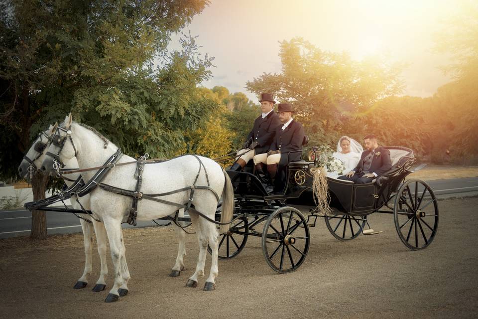 Boda en Argamasilla