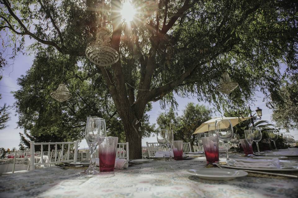 Boda en bodegas medina