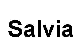 Salvia