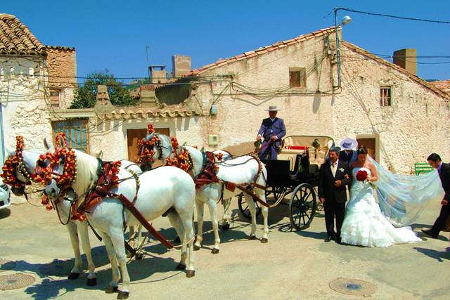 Coches de caballos para bodas