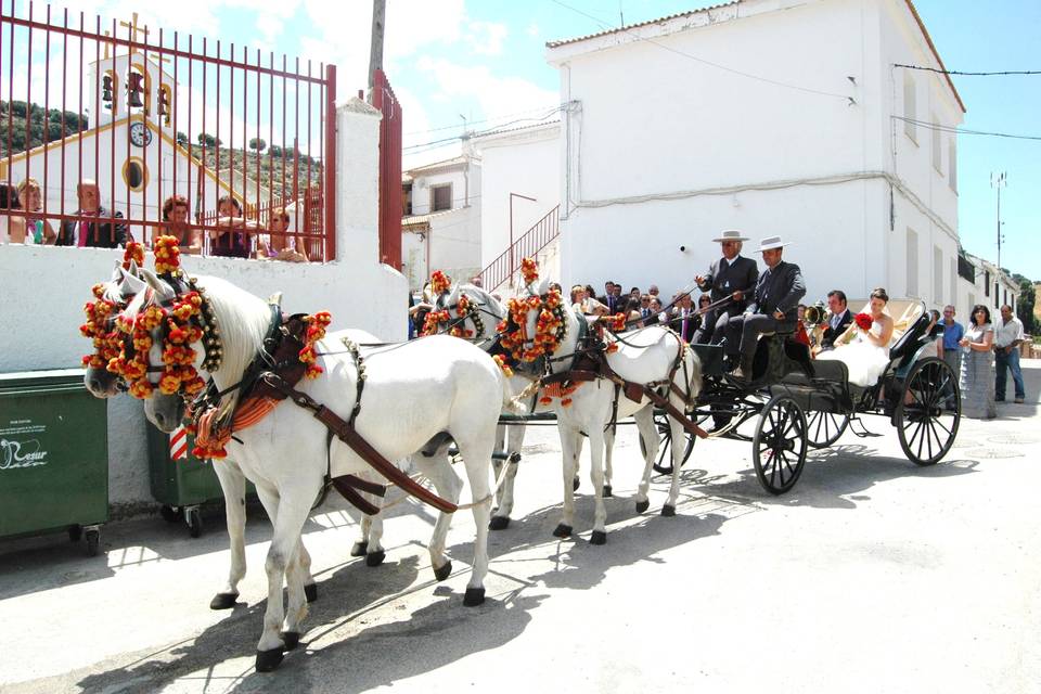 Recogida de la iglesia