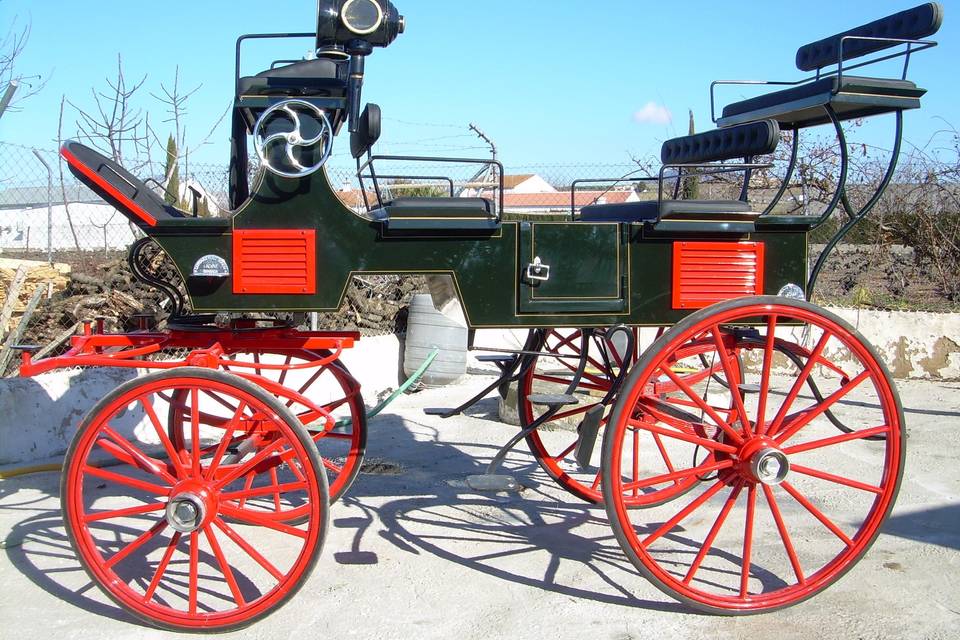 Coches de caballos para bodas