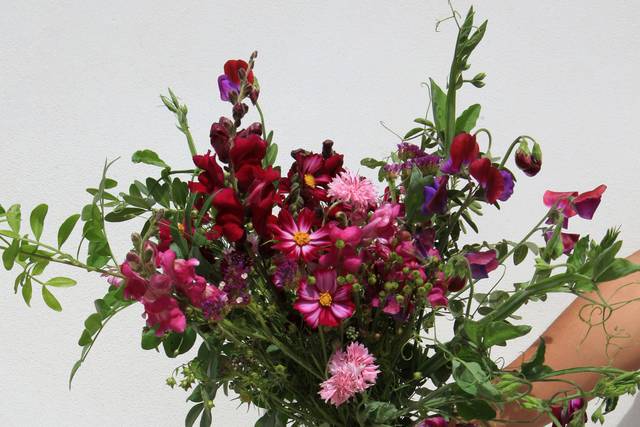 En tonos rosas
