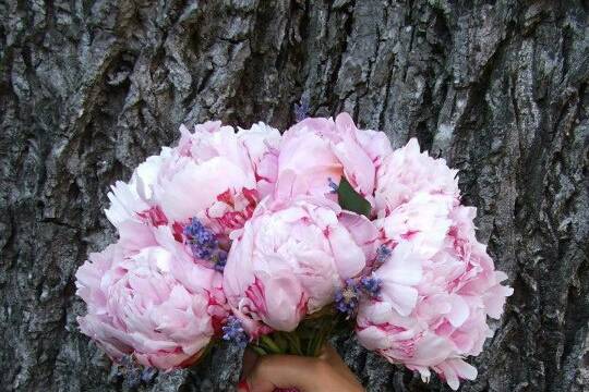 Art Floral Vallribera