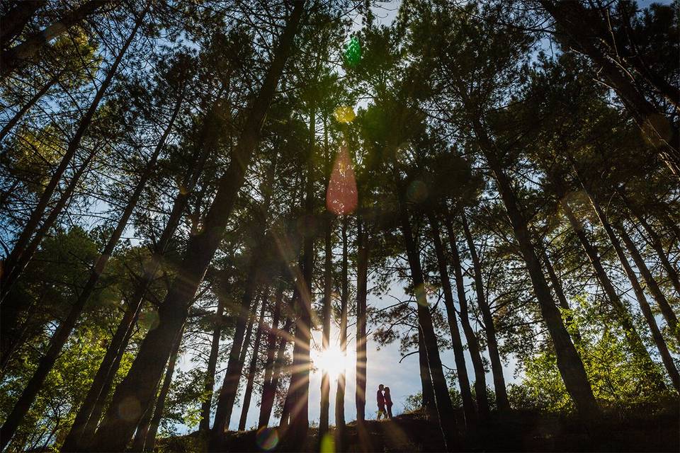 Preboda en el bosque