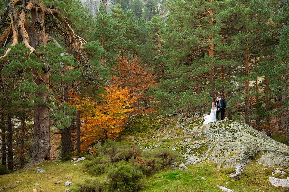 Postboda