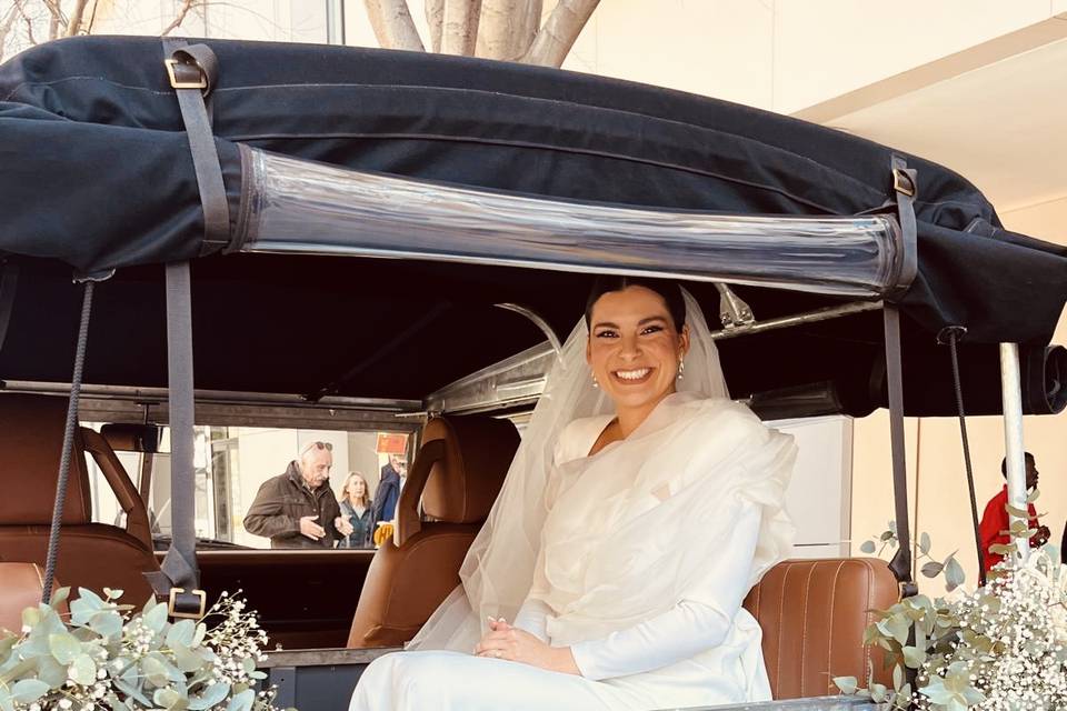 La felicidad de Elisa